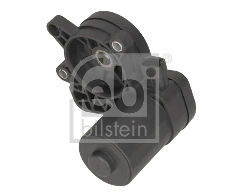 Control Element, parking brake caliper